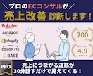 ECサイトの売上改善診断!分析改善プラン提案します ネットショップ集客アドバイス・コンサルAmazon/楽天市場 イメージ1