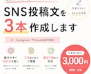 伝えたいことを読みやすいSNS投稿文に整えます SNS投稿文を3本まとめて作成します イメージ1