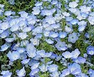 結婚したいなあ〜と思っているあなた連絡待っています もうそろそろ結婚したいなあ〜と思っている貴方へ結婚の近道伝授 イメージ1