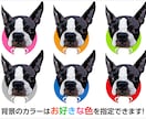 犬猫キャラクター化 SNSプロフアイコン作ります ペットが好きでSNS・ブログのプロフアイコンにこだわりたい方 イメージ2