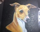 愛犬愛猫の絵をオリジナルで描かせて頂いております リアルとカラフルと色々お選び頂けます❗基本A4sizeです イメージ7