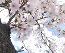 何でもお話し聞きます 悩み相談・ひたすら共感して欲しい方・アドバイスが欲しい方☆ イメージ1