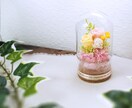 EC用：商品撮影を行います 魅力を引き出す高品質な商品写真を撮影します！ イメージ9