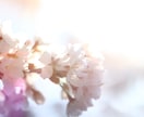 あなたが欲しい写真・素材提供します イメージ写真としてこういう写真があったらな〜と思ったらぜひ！ イメージ1