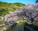 京都の四季の写真提供しています 京都の何気ない風景や四季の風景写真 イメージ6