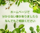 ホームページで分からない事なんでも相談にのります ホームページ初心者様にも分かりやすく伝えます！ イメージ1