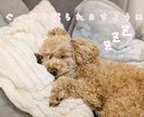 チャットで愚痴やご相談聞きます あなたの気持ちに寄り添いますʚ♡ɞ イメージ3