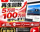 YouTube再生回数。5万回再生～増やします 5万回再生～100万回再生/丁寧な対応/保証付き イメージ2