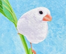 ペットの小鳥さんの似顔絵イラスト描きます かわいい我が子を一枚一枚手描きのアクリル画で残しませんか？ イメージ1