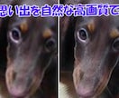 大切なあの子の思い出を、高画質化します 写真のあの子、ぼやけたまま残しますか？ イメージ4