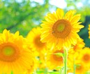 うつ病経験者の目線で相談のります 心の相談からうつ病になって今後の生活が不安な人へ イメージ1