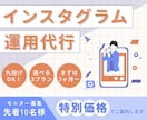 特別価格！インスタグラム運用代行します ～実績作りのため10名様限定のご案内～ イメージ1