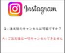 インスタ日本人女性+100フォロワー増やします ⚡ココナラ最速・最安値を目指します⚡30日間減少保証付き⚡ イメージ2