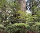 霊視｜霊聴➕カードでお気持ち視えたままお伝えします 恋愛/人間関係/片想い/複雑愛/復縁/人生☯️鑑定歴18年 イメージ8