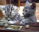 20代限定！職場での人間関係を構築するツールをお渡しします イメージ1
