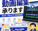 YouTube・SNS向けの動画編集を承ります カット・テロップ・BGM・画像挿入までお任せください。 イメージ1