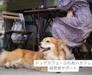 犬カフェ経営者のお悩みを解決します 犬の扱い方から犬と来客の関係性作りまで仕組み作りサポート！ イメージ1