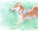 優しいタッチのペットのイラスト作成します 貴方のペットの写真を元にふんわりしたイラストをお描きします。 イメージ1