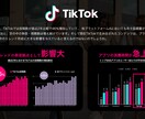 TikTok運用代行オールインワンで運用します 豊富な実績と独自のノウハウから培ったバズる企画でサポート イメージ2