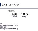 ビジネス・専門職・活動者向け名刺をデザインします 用途や雰囲気に合わせて、シンプルで使いやすい名刺を制作します イメージ2