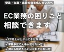 EC業務改善(受注・在庫・商品登録)を相談できます ECサービス開発経験20年以上！業務の困りごとを解決します！ イメージ1