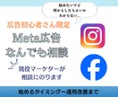 Meta広告をはじめたい方のなんでも相談受けます 初心者専用！何から始めたらいいかわからない、広告検討中の方へ イメージ1