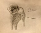 ペット等動物のデッサン、イラストお描きします 大切な家族の思い出を絵に残しませんか？温かい絵お届けします。 イメージ6