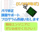Cプログラム他バグ修正のお手伝いいたします 主にC言語の不具合調査やエラー取りバグ修正ご相談ください イメージ1