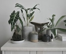 観葉植物のコーディネートをアドバイス致します これから植物のある暮らしを取り入れたい方へ イメージ1