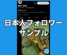 Xツイッター日本人フォロワーを100人〜増やします 【最安】X(旧ツイッター)の日本人100人増加ほぼ減少なし イメージ9