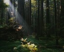 高位精霊との霊視で、二人の魂を愛ある未来へ導きます 【先の光が見えず不安な方へ】未来は変えれる。※初回限定価格 イメージ1