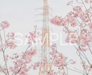 春の撮影　桜の写真素材10枚を提供します 色々な用途で使用できる素材写真をご提供します。 イメージ1