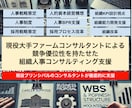 優位性を重視した人事制度改革や見直しの支援をします 現役ファーム在籍組織人事プリンシパルが責任持って担当します イメージ1