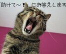 手書き・PDF・古いワープロ資料をテキスト化します 検索・再計算できる形式で再作成いたします イメージ2