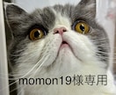 momon19様専用(サブスク1ヶ月)ます momon19様専用(サブスク1ヶ月) イメージ1