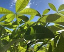 お疲れ様です☆一緒に萌え萌えキュンキュンします 一緒にキュンについて語りましょう☆なんでも待ってます☆ イメージ1