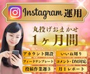 Instagram本気で１ヶ月運用代行します インスタグラム運用★丸投げでOK！ イメージ1