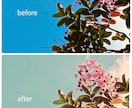 Instagram投稿をデザインします 写真が映えるやさしい世界観を制作 イメージ5