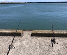 絶対に釣れるポイントをご紹介します 【初心者、入門者向け】釣れる場所をご紹介！ イメージ3