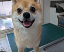 店舗なしで月収UP！店舗なしでの独立相談に乗ります 週休3日で稼ぐ仕組み！移動サロンの集客と運営術を伝授します イメージ6