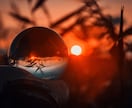 復縁鑑定｜すれ違った魂の絆を深淵霊視します 離れた縁にも、まだ語られていない想いが眠っています イメージ5