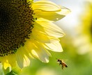 写真のレタッチを行います 魅力を引き出して目の惹く写真に仕上げます イメージ5