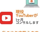 あなたのチャンネル1ヶ月コンサルします 2万人越え現役YouTuberがやり方を徹底伝授！ イメージ1