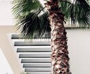 パーソナルダイエットプログラムを提案いたします あなただけの食事指導をサポート理想な身体になるために イメージ3