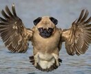 ツインレベルを上げる鑑定占術致します ツイン鑑定後、ツインレベルを上げる施術を施します。 イメージ1