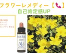 花からのメッセージを感情に届けます ❀感情を花に例え例え自己肯定感を上げていきましょう。↓↑ イメージ1
