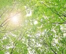 心が軽くなるまで寄り添います 「もう限界…」そんな時、今すぐお電話ください イメージ2