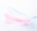 今のあなたに伝えたい事、視ます あなた様の直感力をお借りしてカードを引きます。 イメージ9