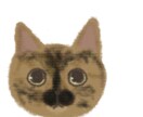 あなたのねこちゃんお描きします ねこちゃんの特徴を捉えて描いていきます　短毛の子限定 イメージ4
