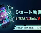 ショート動画の編集をします TikTok・リール・Shorts対応｜テロップBGM込み イメージ1